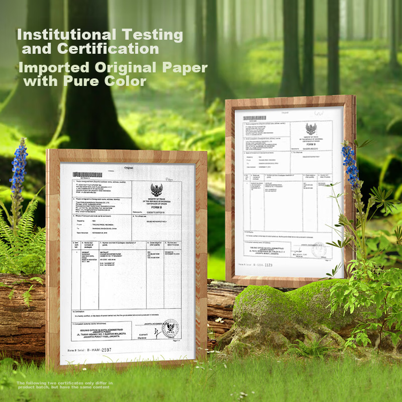 Deli A4 80g Dark Green Copy Paper, Colored Printing Paper, Children's Origami And Paper Cutting Colored Paper, Non-Cardboard Paper, 100 Sheets/Pack, 7757 [Classic Bestseller]