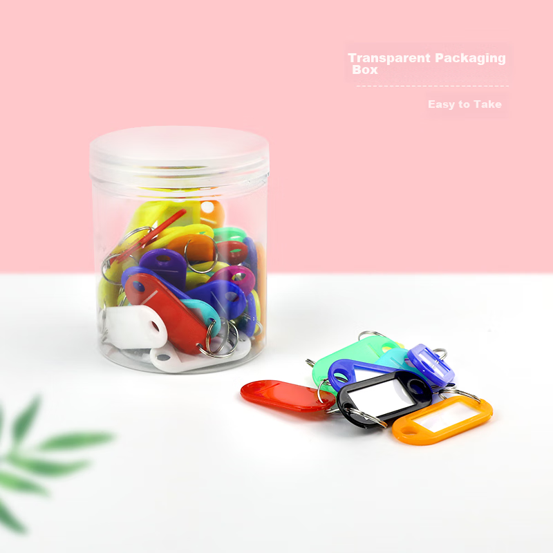 Deyin Colorful Key Tags, Key Rings, Classification Markers, Key Labels, 9848 Key Management Office Key Tags, Office Supplies, 50 Pieces/box