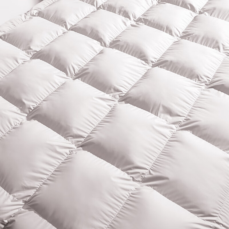 FUANNA Xingyu Love 50% White Goose Down Comforter All Season Comforter 680g Fill 230*229cm Light Grey