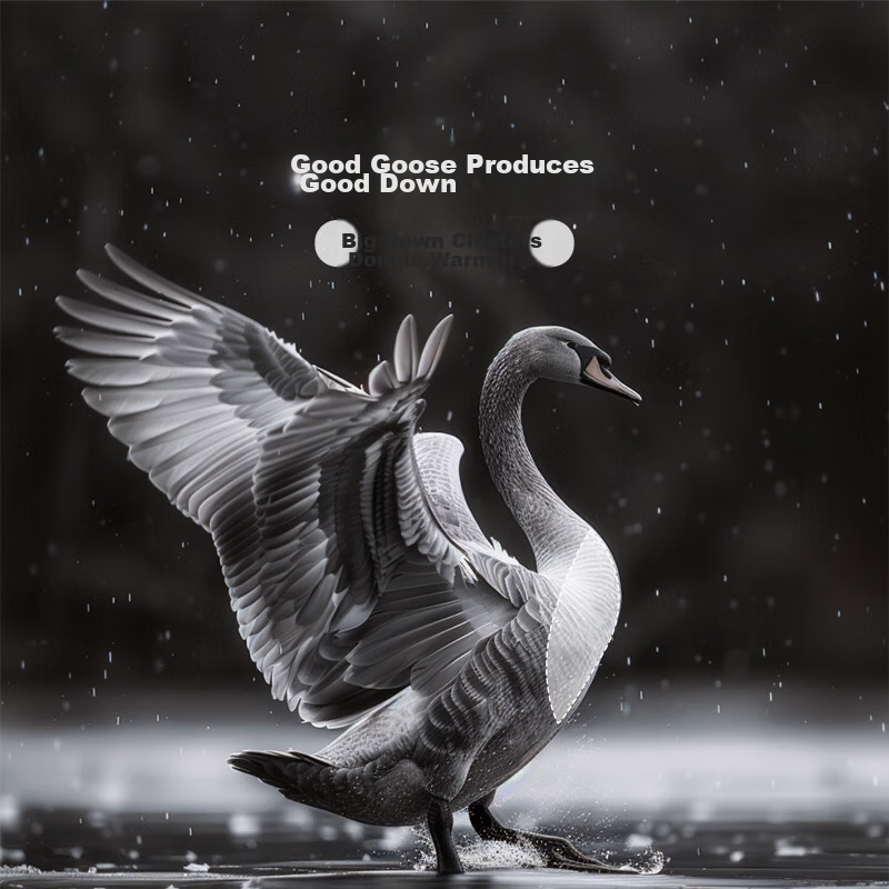 Fuanna Goose down Comforter for Winter, Double-Size Thick Winter Quilt, 70% Grey Goose Down, 1100g Filling, 230*229cm