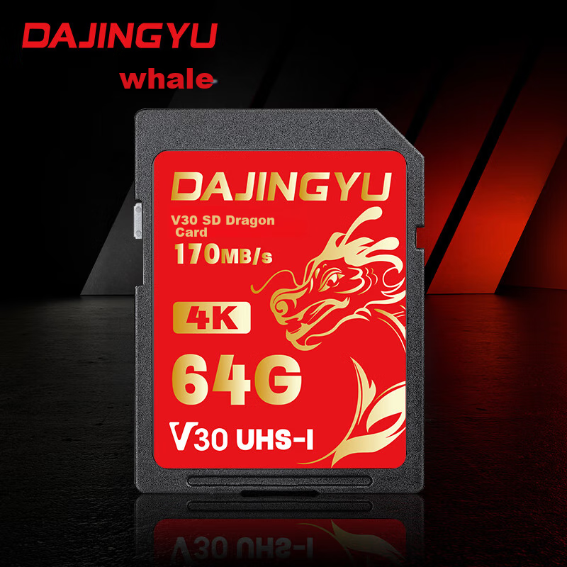DAJINGYU SD Card V30 64GB Camera Memory Card Storage Card High-Speed DSLR Storage Card Compatible with Sony A1/ZV-E1/A7M4, Nikon, Canon, Fuji, Panasonic