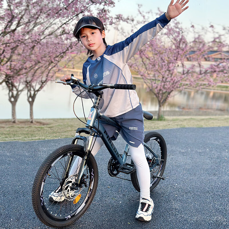 PIGEON Children's Bicycle, Student Mountain Bike, Youth Bicycle, Single-Speed Off-Road Bike, Disc Brake, 18-Inch, Gray And Black