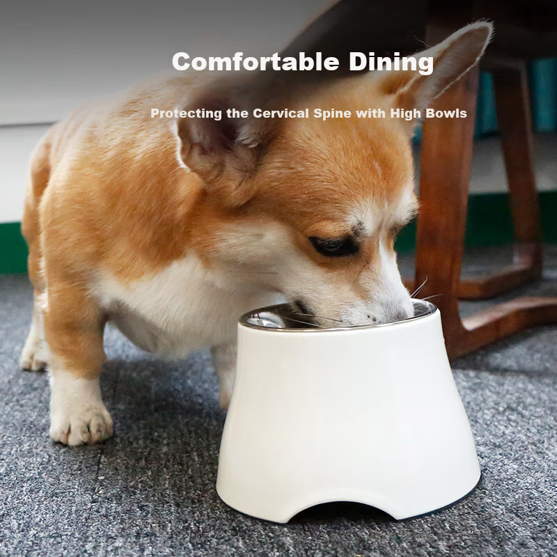SUPER DESIGN Elevated Dog Bowl Pet Feeder Cat Bowl Dog Bowl Protecting Neck Spine Dog Food Bowl White L Size